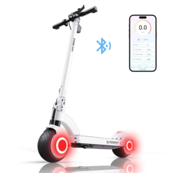 Scooter Eléctrico Honey Whale Orno Max-S